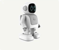 AI Companion Robot