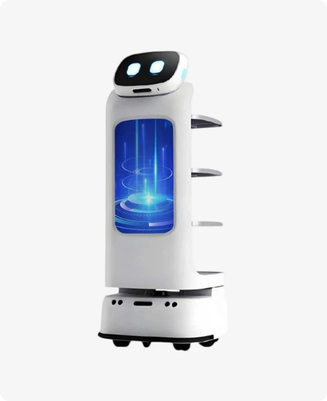 Komercijalni servisni robot
