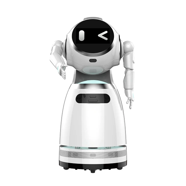 Reception Robot